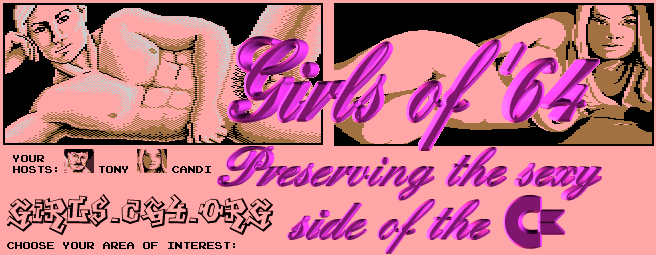 PRESERVING THE SEXY SIDE OF THE C=