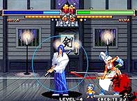 SAMURAI SHODOW V SPECIAL