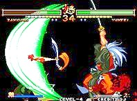 SAMURAI SHODOW V SPECIAL