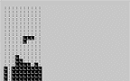 ZX81